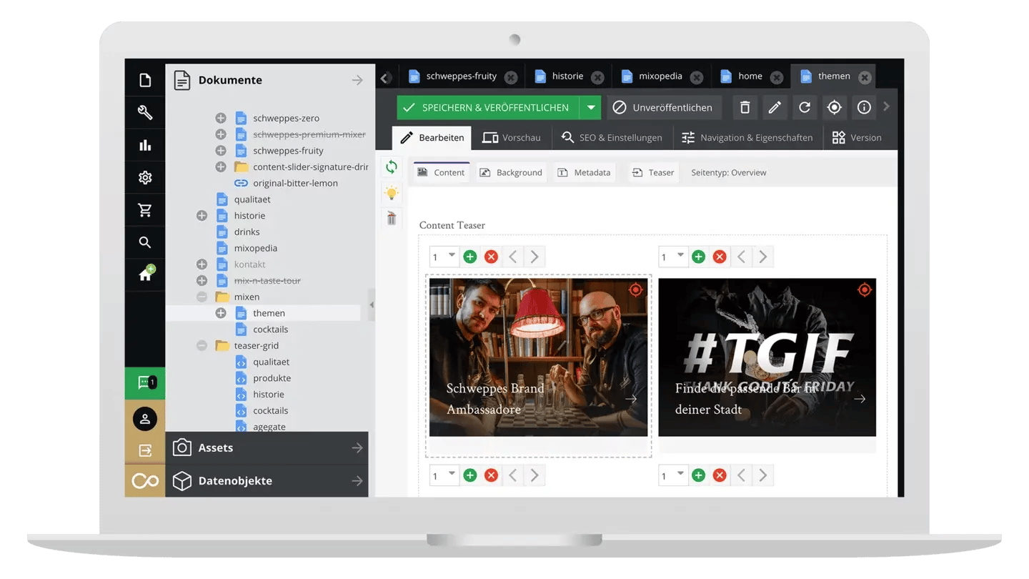 Case Study: Schweppes Deutschland GmbH-Impression #4.1
